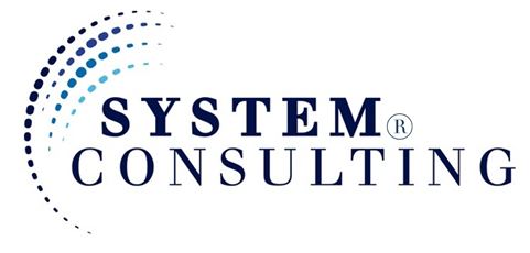 System Consulting